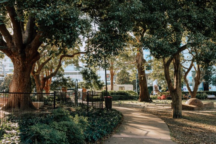 Neighborhoods_Chatswood-4_agtteu_qjdnrr