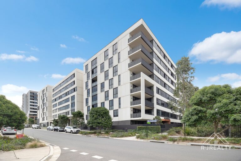 WhatsApp Image 2025-12-16 at 13.12