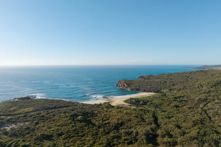 Drone_Photograph_-_Pinny_Beach_Wallarah_National_Park_x9io8h